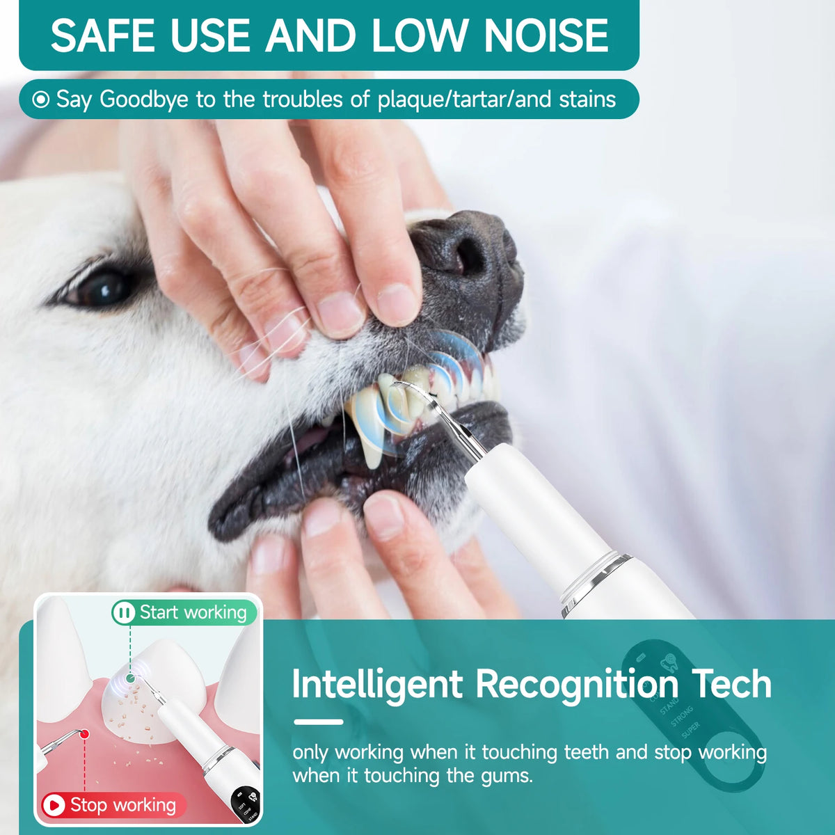 PawCleanse™ Ultrasonic Dental Cleaner